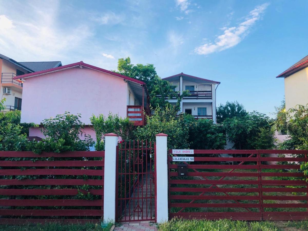 Casa Andrei Ξενοδοχείο Costinești Εξωτερικό φωτογραφία